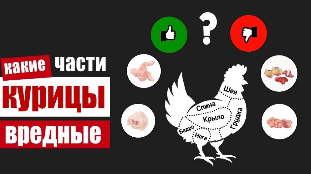 Какие части курицы вредны и как определить некачественную курятину в магазине смотреть онлайн