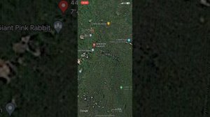 Странные места в гугл карте