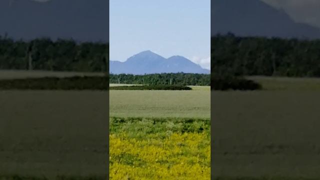 В окрестностях г. МИНЕРАЛЬНЫЕ ВОДЫ на Ставрополье... (ранним утром...) смотреть онлайн