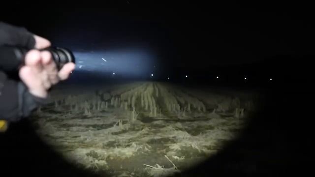 Mankerlight MC13 II 90.2 EDC Flashlight SBT90 GEN2 LED #flashlight #edcflashlight #edcgear