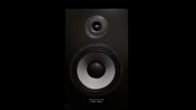 Flying Lemon Audio - X2 смотреть онлайн