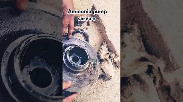 # ammonia pump sarvice to singh sons refrigeration company 🌹🌹🌹🥰🫡 смотреть онлайн