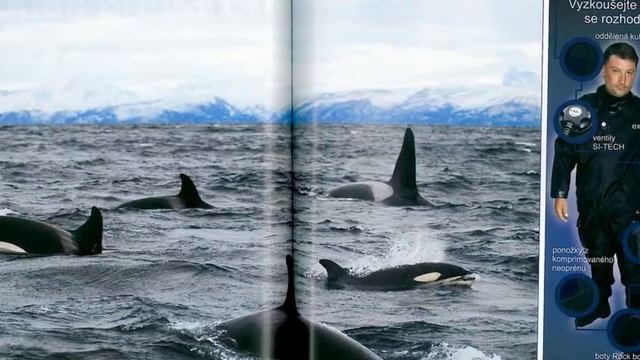 Advertisement by GRAVITY ZERO Diving TEAM смотреть онлайн