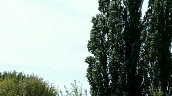 ЮРА Шатунов. Но Ласковый май вступит в права. Лето. 2 куплет.