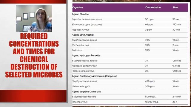 Chp 9 part 2 смотреть онлайн