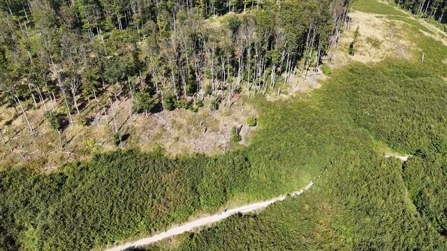 6.8.2024 dobra voda - brezova picyk смотреть онлайн