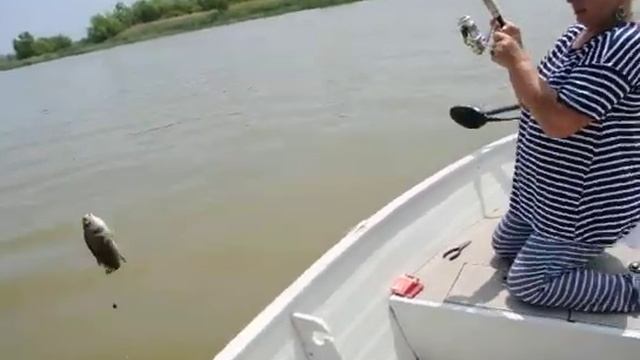 РЫБАЛКА В КАНАДЕ. часть 1 FISHING IN CANADA. смотреть онлайн