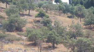 Турция Kusadasi Turkey Турция Кушадасы