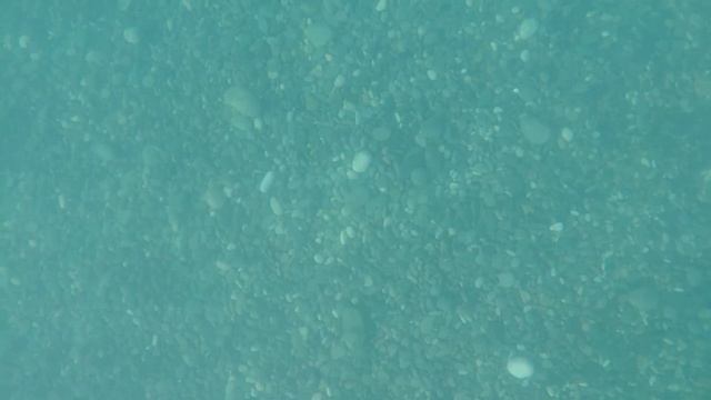 08.08.23 Первый раз снимаем под водой смотреть онлайн