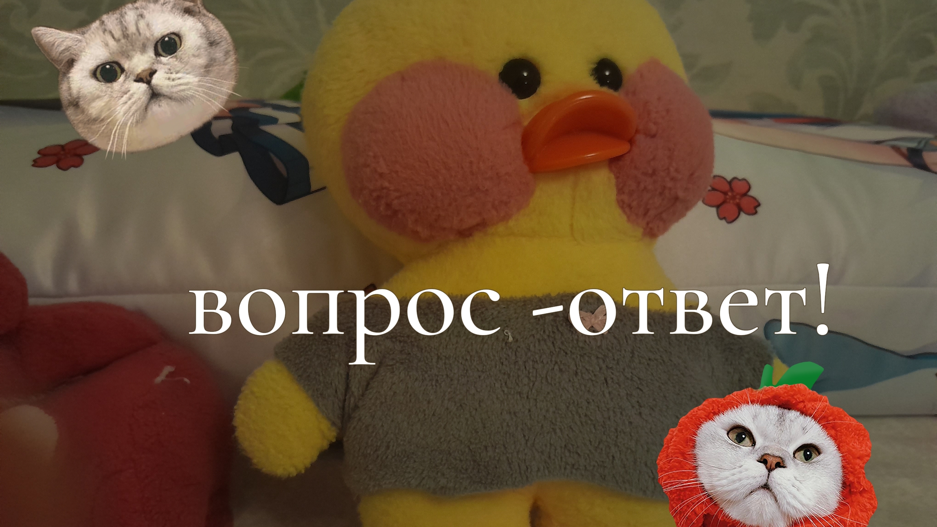 Вопрос-ответ💋отвечаю на вопросы подписчиков смотреть онлайн
