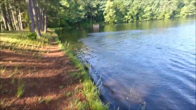 Volantex Vector PRO 798-2 "Angry Shark" first gps speed test on YouTube смотреть онлайн