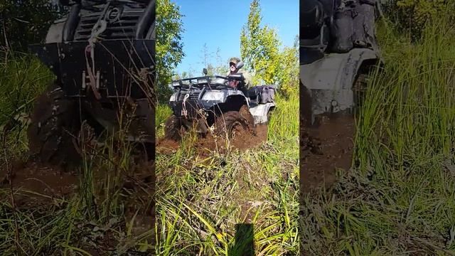 27 августа 2024 г.