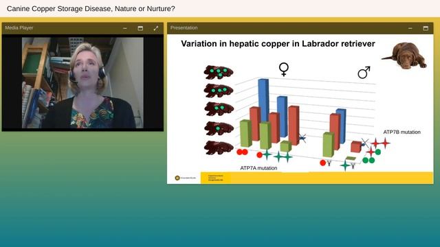 Canine Copper Storage Disease, Nature or Nurture? - Canine Health Summit 2022 - Embark for Breeders смотреть онлайн