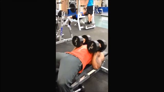 Body Beast R6/D7 - Chest Tris смотреть онлайн