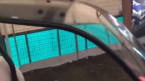 Обзор скутера Yamaha Gear полугрузовой с крышей в магазине Акимото