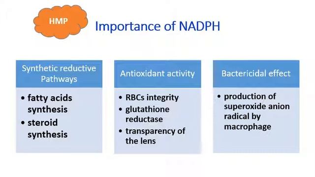 MED LEVEL 2 REB221 BIO Lecture HMP 2 MTI 2022 смотреть онлайн
