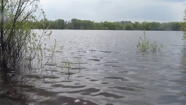 18052017 Весенний Омск 1 смотреть онлайн