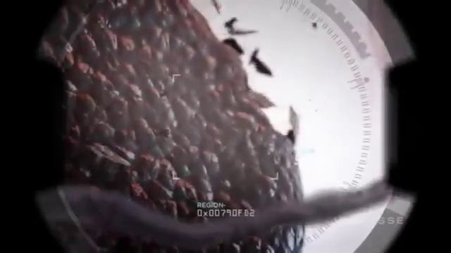 Nobel Prize winning research FINITI Cellular Aging Ends Here! смотреть онлайн