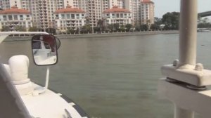 В бананово лимонном Сингапуре