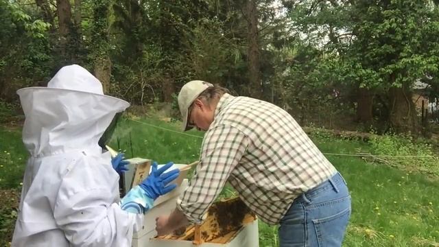 Beekeeping 101 Varroa Mites смотреть онлайн
