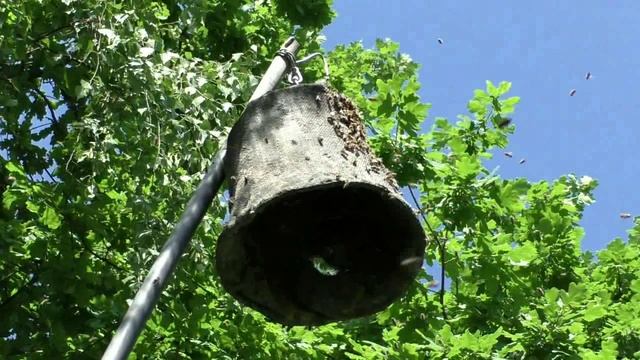 Апирой не сработал, а ловушка-да смотреть онлайн
