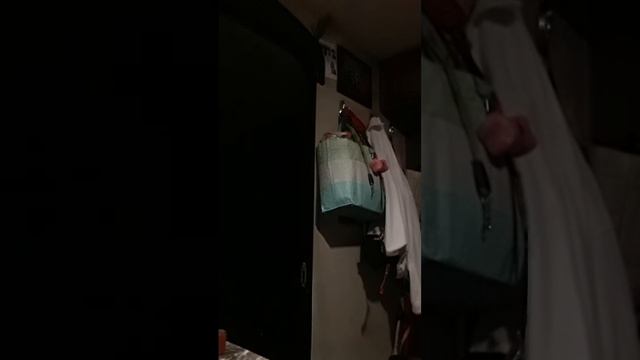 50 Cent🎶 смотреть онлайн