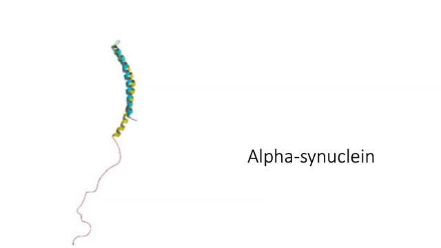 Animal Models of Parkinson's Disease смотреть онлайн