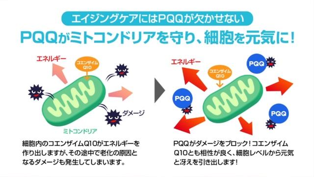コエンザイムQ10とも相性ばっちり！ PQQキャップス（ピロロキノリンキノン)がミトコンドリアを守る！ смотреть онлайн