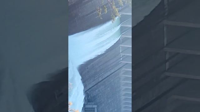 Сброс воды . Братская ГЭС.2021год. смотреть онлайн