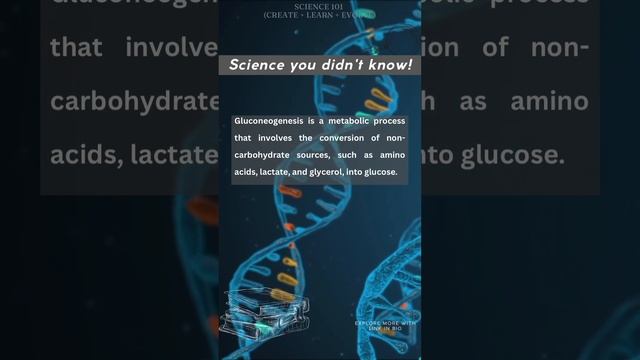 Gluconeogenesis: How Your Body Makes Sugar смотреть онлайн
