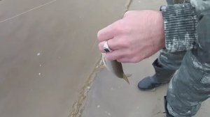 Инта Забытый Городской пляж