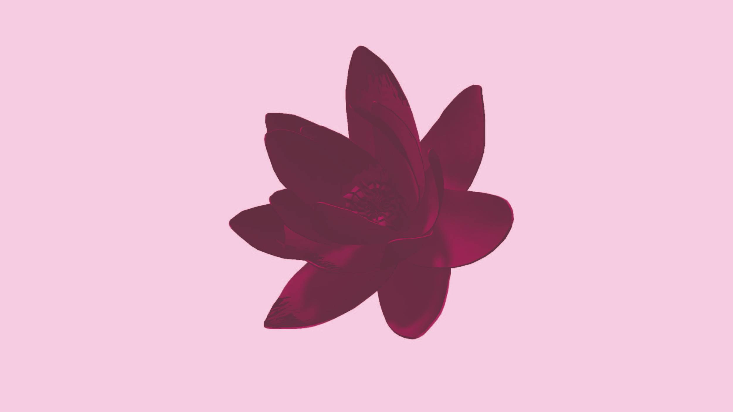 Second Flower - Fallin In Love