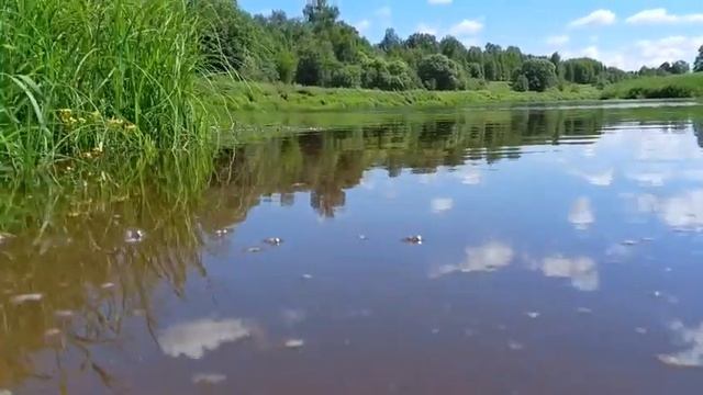 водная гладь!!!! смотреть онлайн