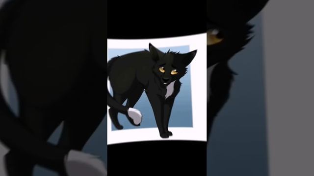 Edit | Персонажи первого цикла #warriorcats #рекомендации #рек #edit #котывоители #art смотреть онлайн