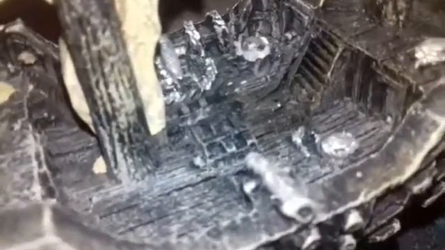 Аквариум 1 часть смотреть онлайн