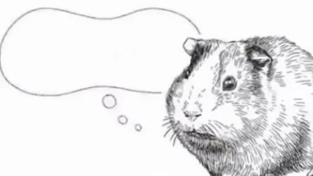 Wenomechainsama Hamster Meme (Full Extended Version) смотреть онлайн