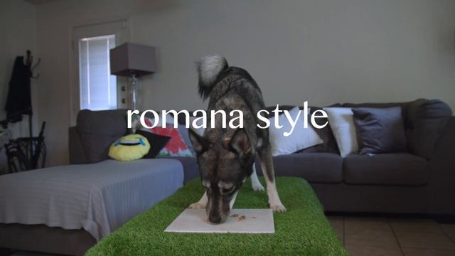 The TRY Dog Tries: Purina Beneful Medleys смотреть онлайн