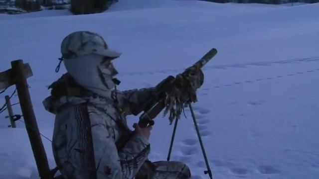 oxota s mankom.FLV смотреть онлайн