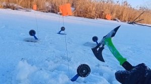 Рыбалка на диком адреналине! Щука на жерлицы