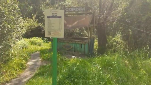 Родник а/д М5 Сызрань - Ульяновск 42км смотреть онлайн