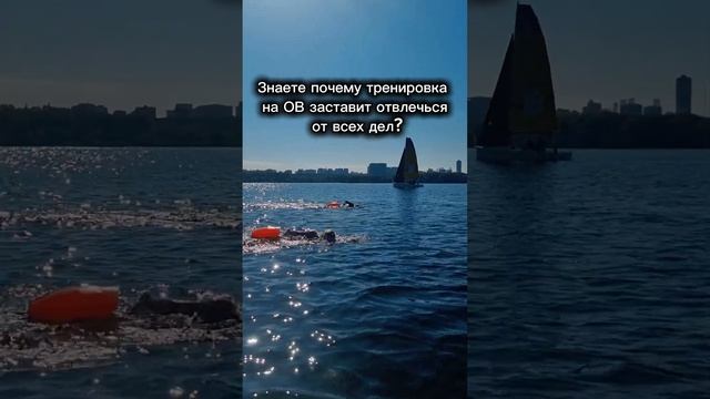 Почему тренировка на открытой воде лучший способ отвлечься? смотреть онлайн