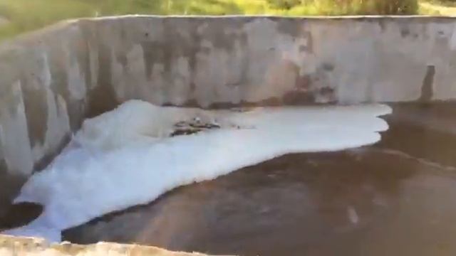 Свободный смотреть онлайн