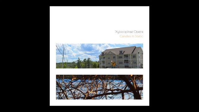 Xylocopinae Opera - Candles In Static (Album) смотреть онлайн