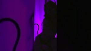 танцуй на мне/песни спид ап