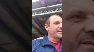 профилактические обработки пчёл препаратом Пробиокс Апи от грибковых заболеваний