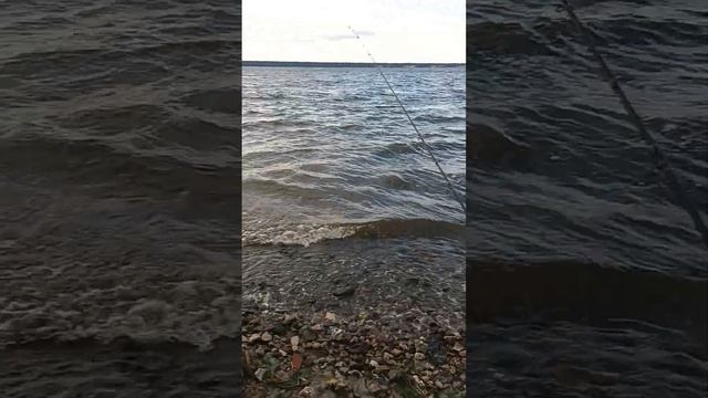 Ловим густеру на фидер. Начинается шторм смотреть онлайн