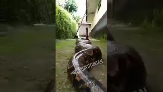 1 мая 2021 г. смотреть онлайн