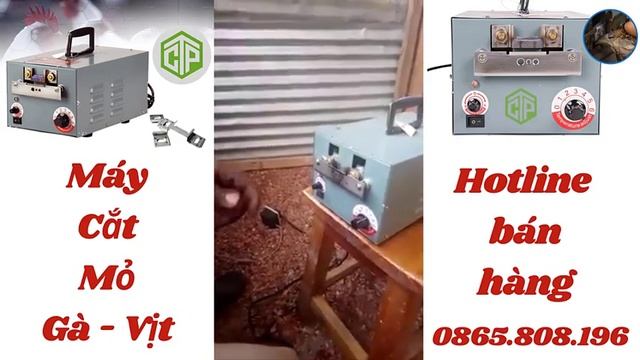 Máy cắt mỏ gà, ngan, vịt tự động giá rẻ 9DO-TX | Máy mài mỏ gà con смотреть онлайн