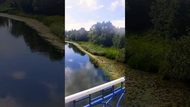 Правдинск_Friedland.река Лава. смотреть онлайн