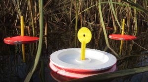 ПОСТАВИЛ КРУЖКИ НА ОЗЕРЕ..И ОНА КЛЮНУЛА. РЫБАЛКА НА РЕКЕ.